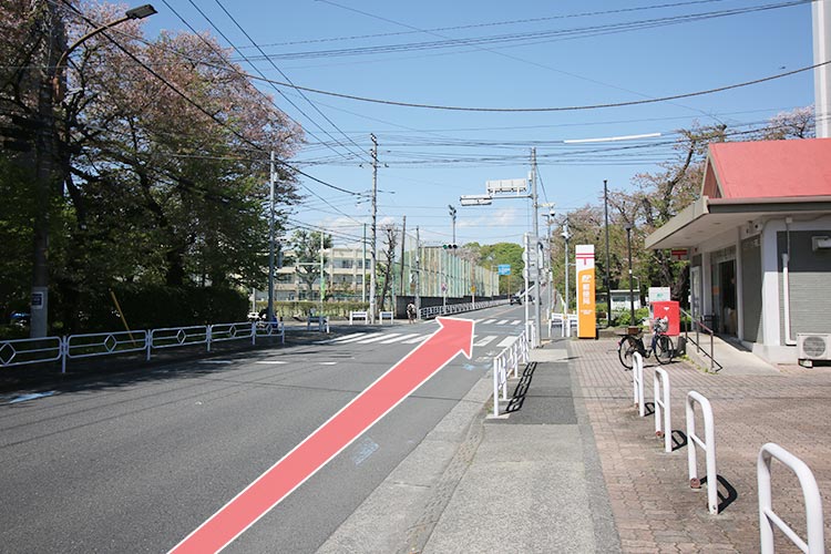 新生小学校前の交差点を直進します